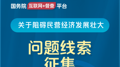 被艹逼网国务院“互联网+督查”平台公开征集阻碍民营经济发展壮大问题线索